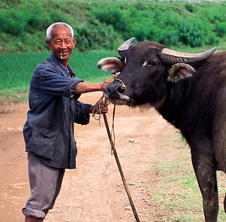 小型飼料顆粒機,農(nóng)民圓夢！